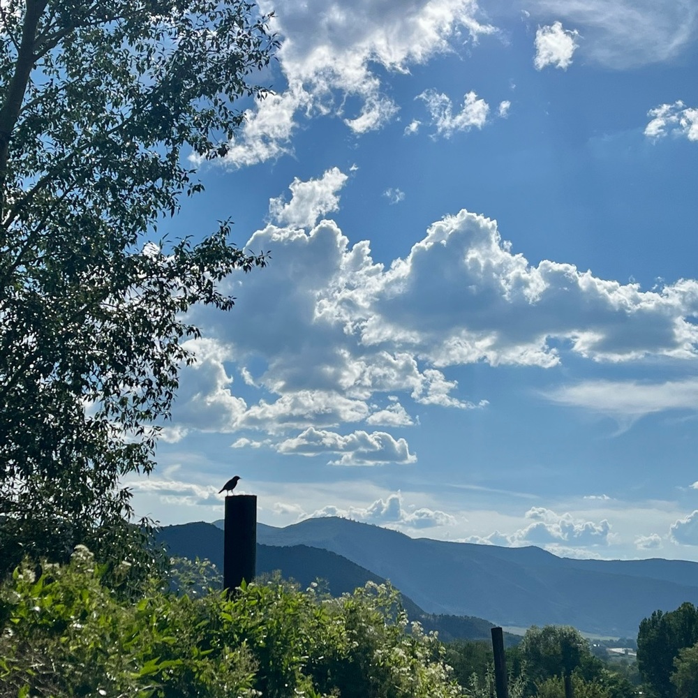 Meet your Posher, Rochelle - Picture 14 of 16